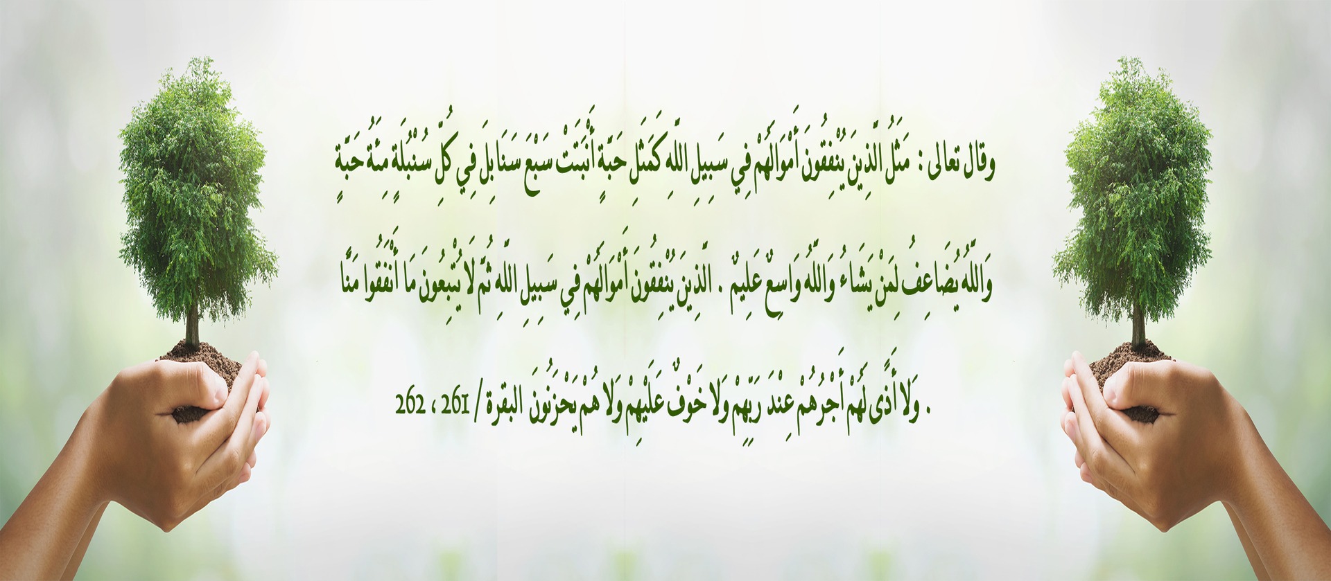 تبرع