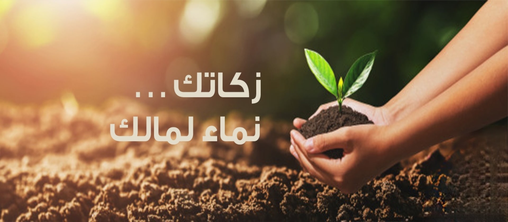 زكاتك